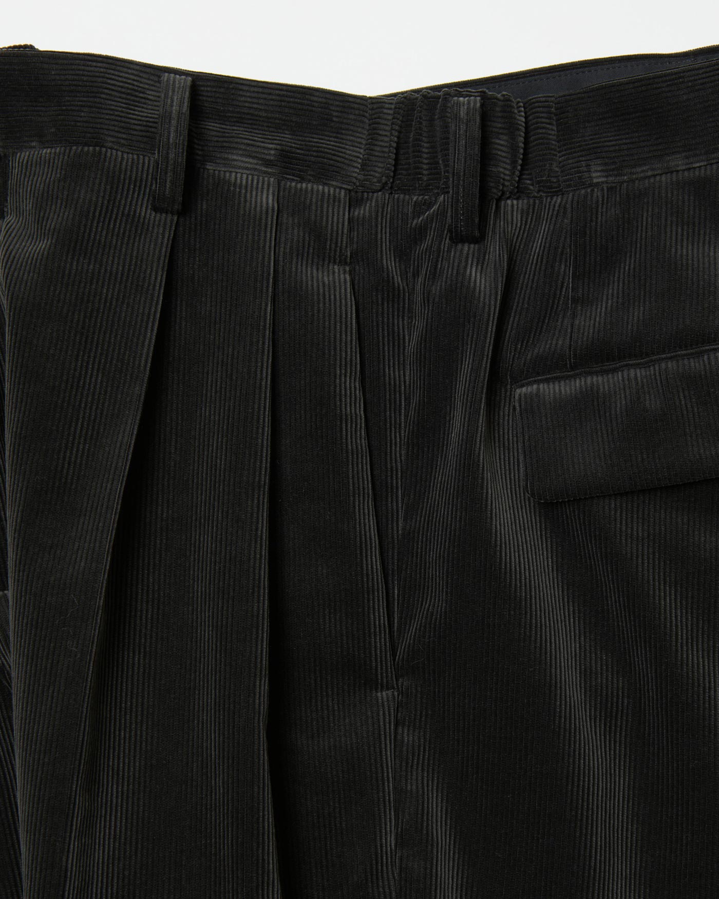 TWO TUCKS WIDE TROUSERS