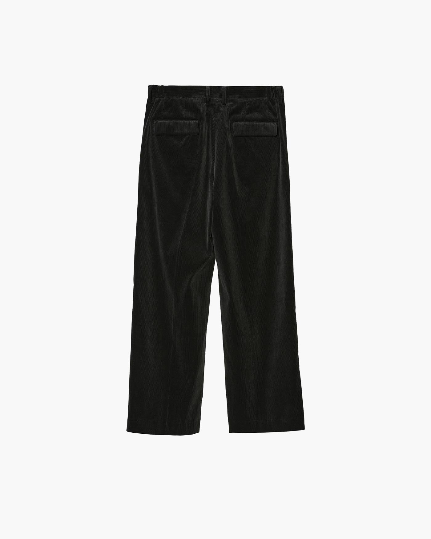 TWO TUCKS WIDE TROUSERS – IRENISA