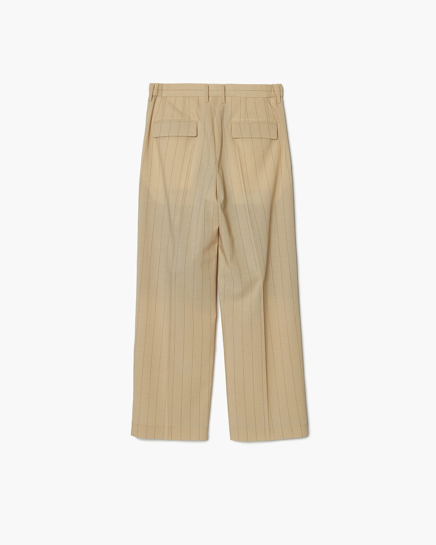 TWO TUCKS WIDE PANTS – IRENISA